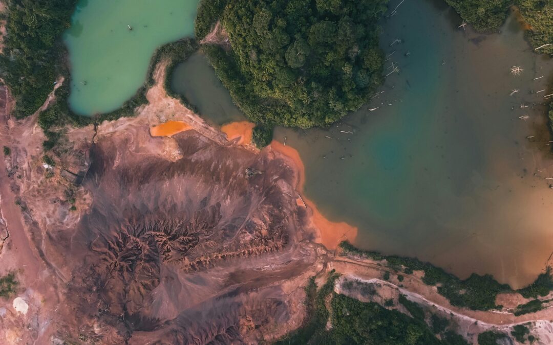 Cuando la guerra también destruye la naturaleza